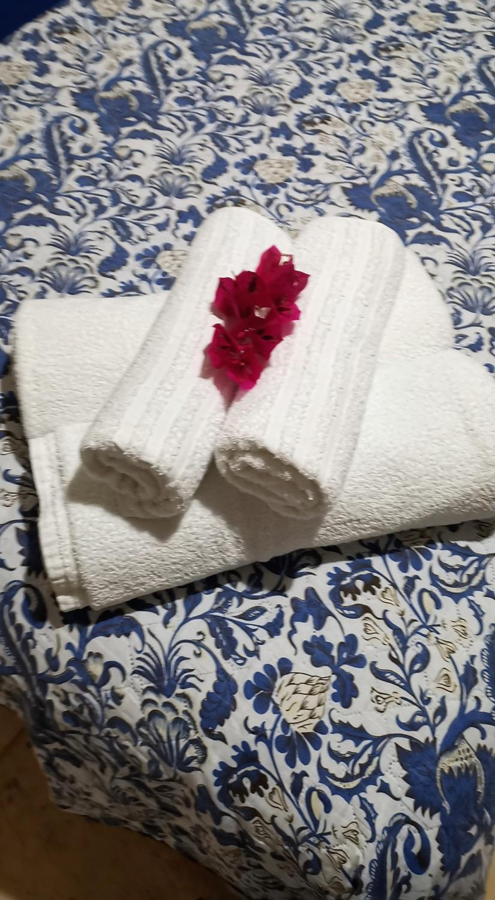 Vila Emanuelle Pousada Boutique