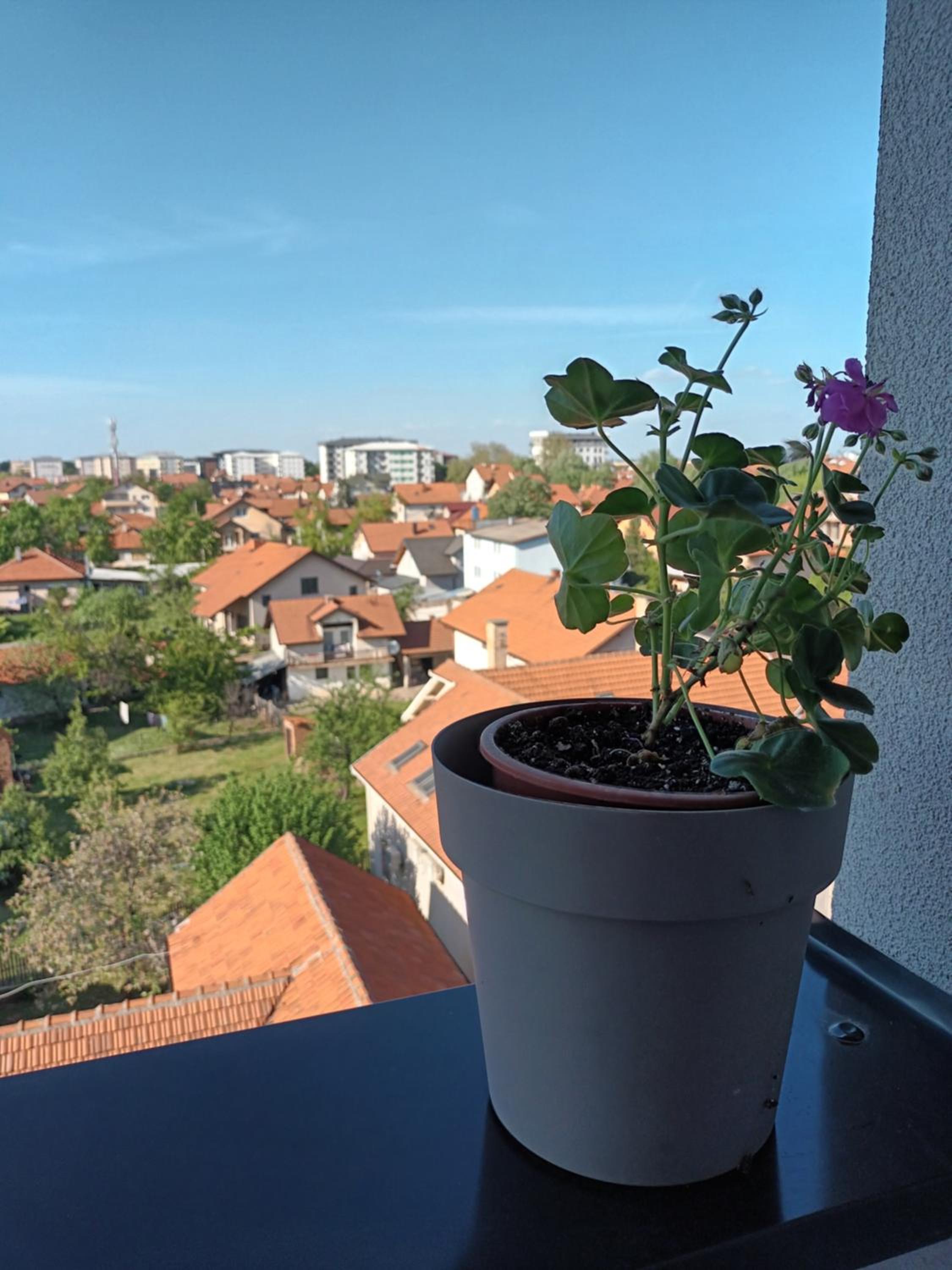 Apartman Svjetlana
