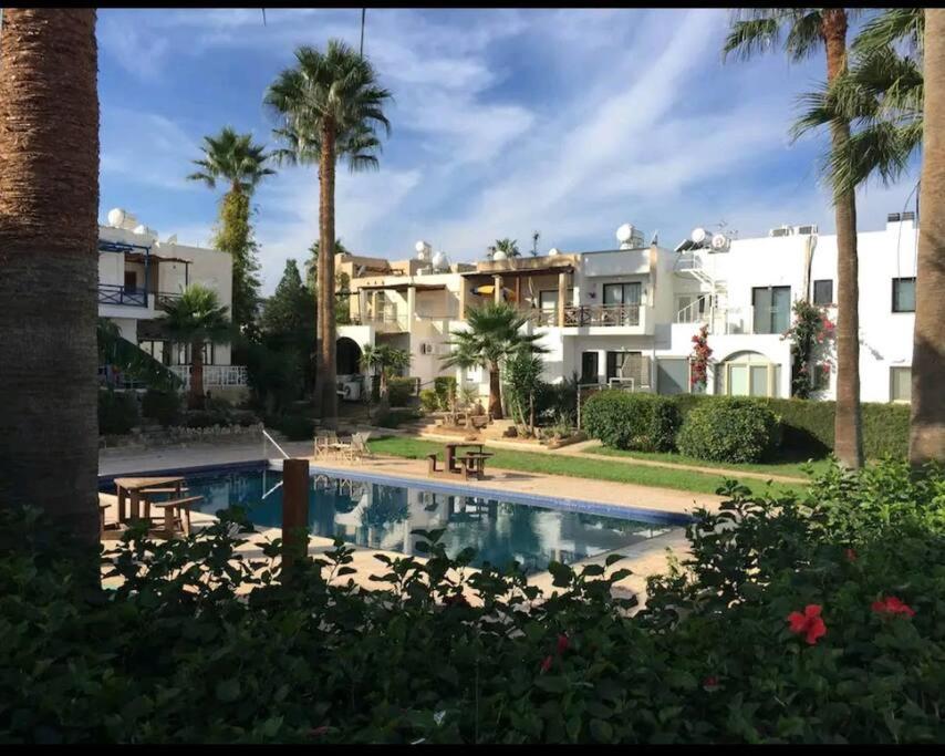 Blue pearl, seaside aprtm with pool at Latchi Marina