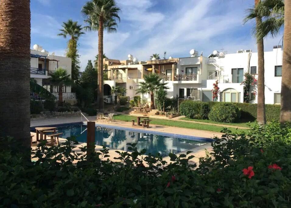 Blue pearl, seaside aprtm with pool at Latchi Marina
