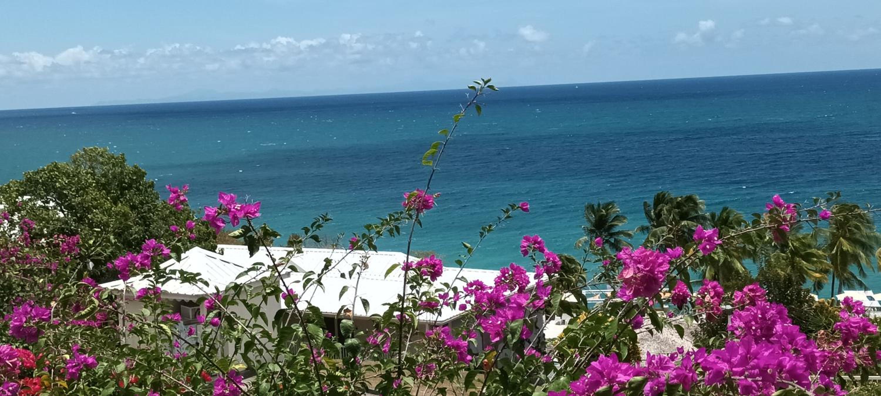 "Studio Bellevue" Terrasse et Deck vue mer-Accès piscine view 5