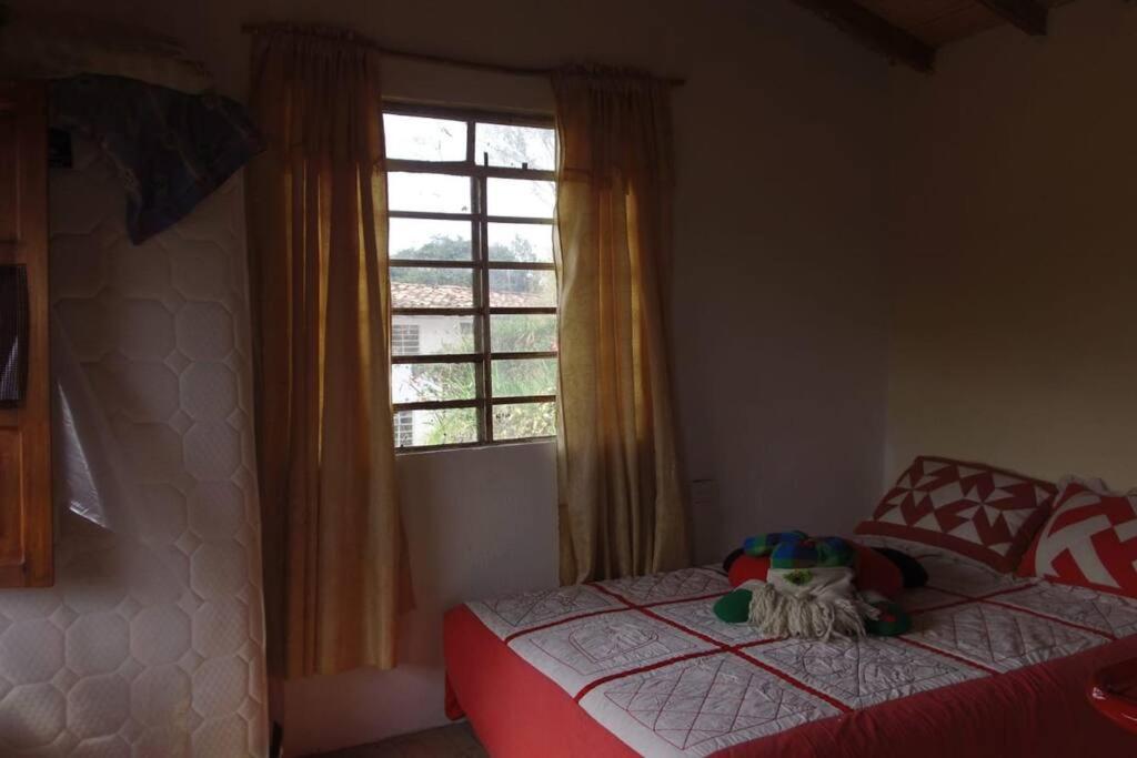 Wayra Ecolodge