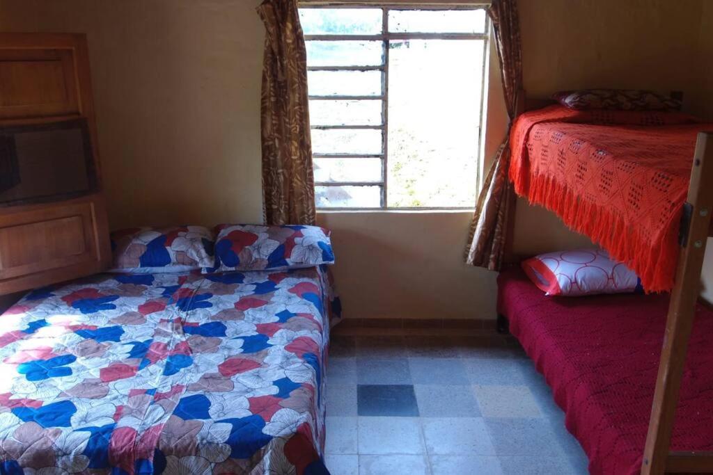 Wayra Ecolodge
