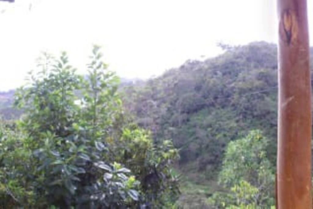 Wayra Ecolodge