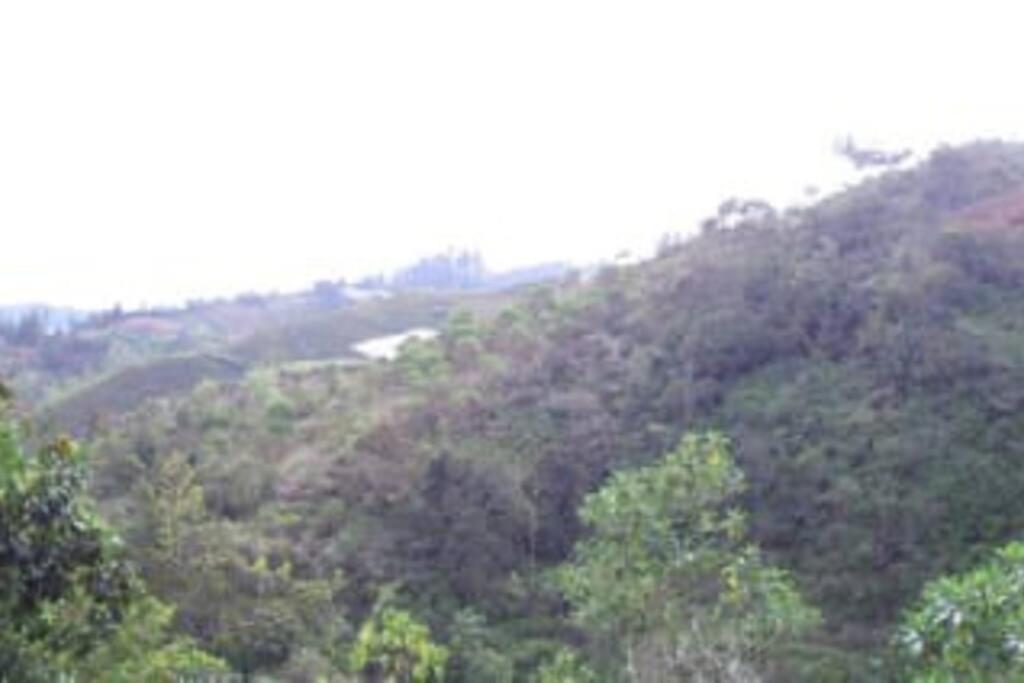 Wayra Ecolodge