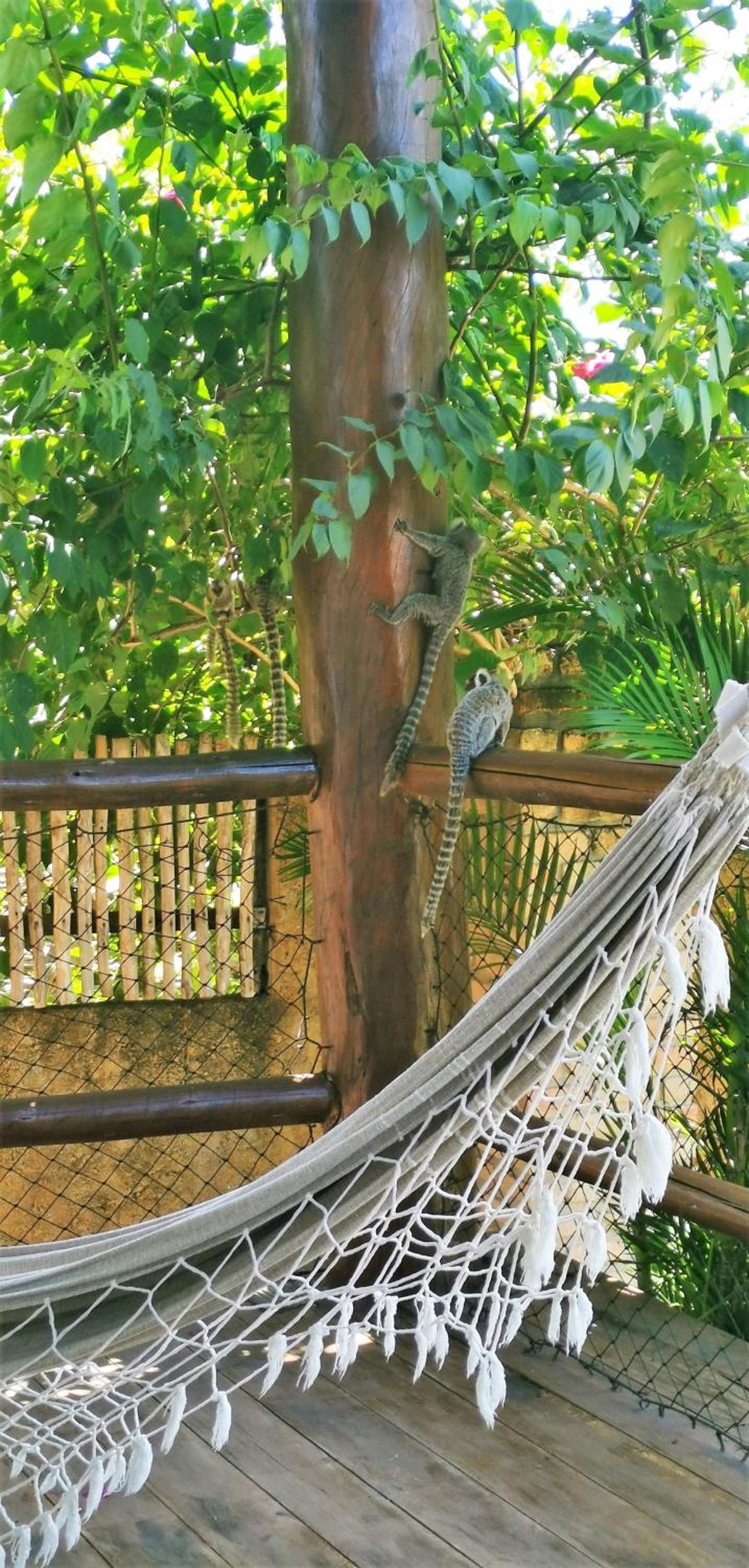 Vila Emanuelle Pousada Boutique