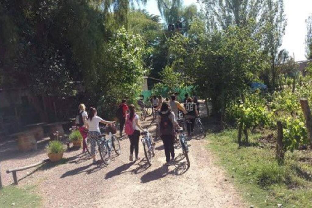 Caminos del vino: Piscina,Bicis,Parrilla
