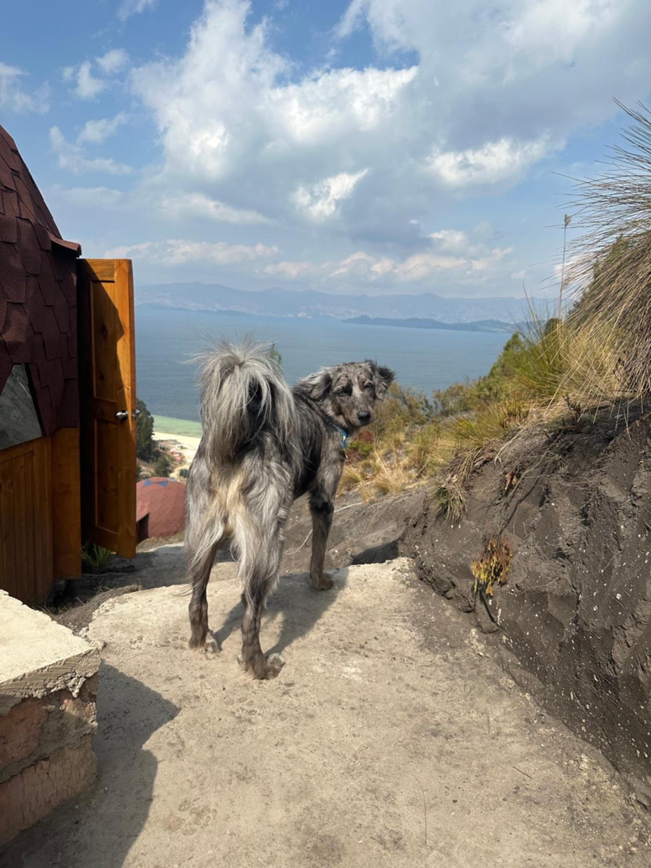 Lago de Tota Playa Blanca-Glamping Kairos