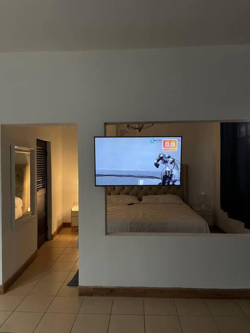 Loft Remolino
