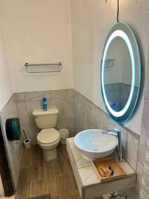 Loft Remolino