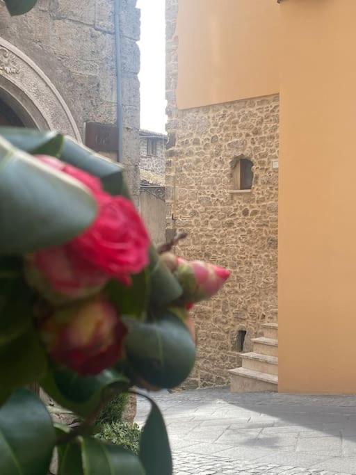 Il Nido dell’Arte view 3