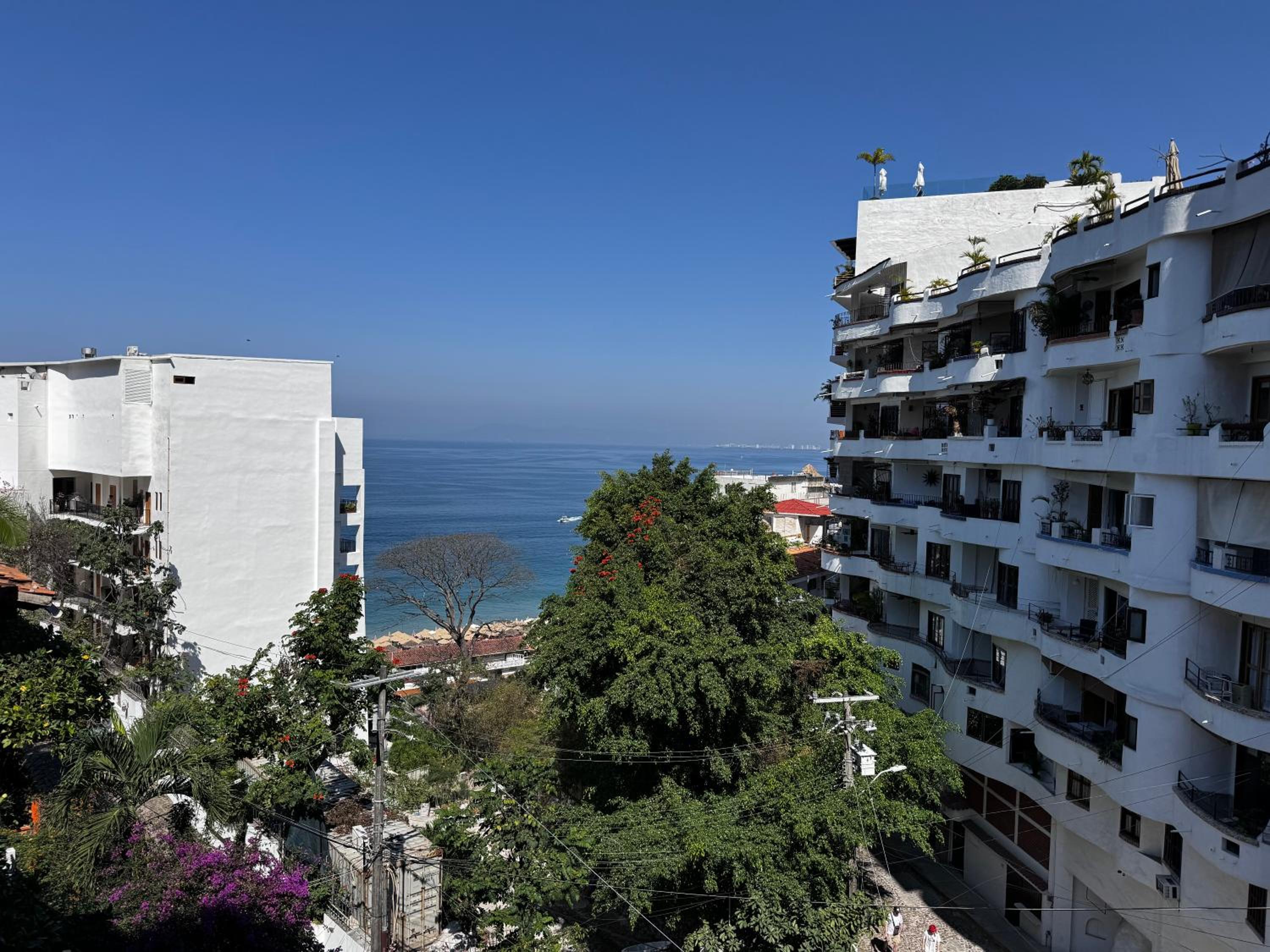 Casa Carmen Zona Romantica, 2BD, 3 bath condo