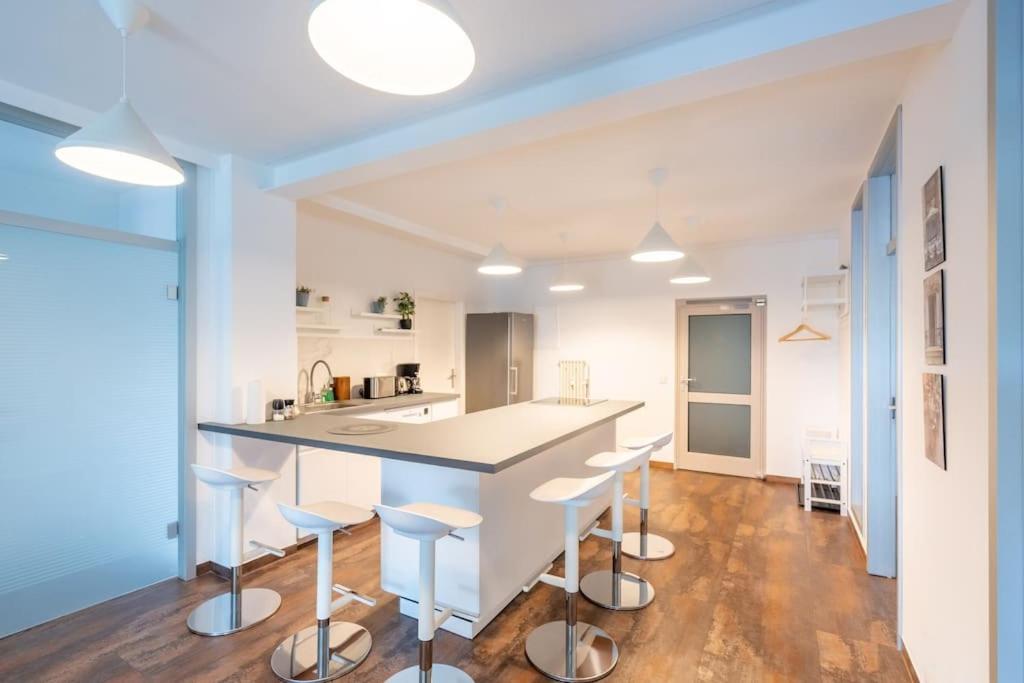 Zentral gelegenes Premium-Apartment mit viel Tageslicht