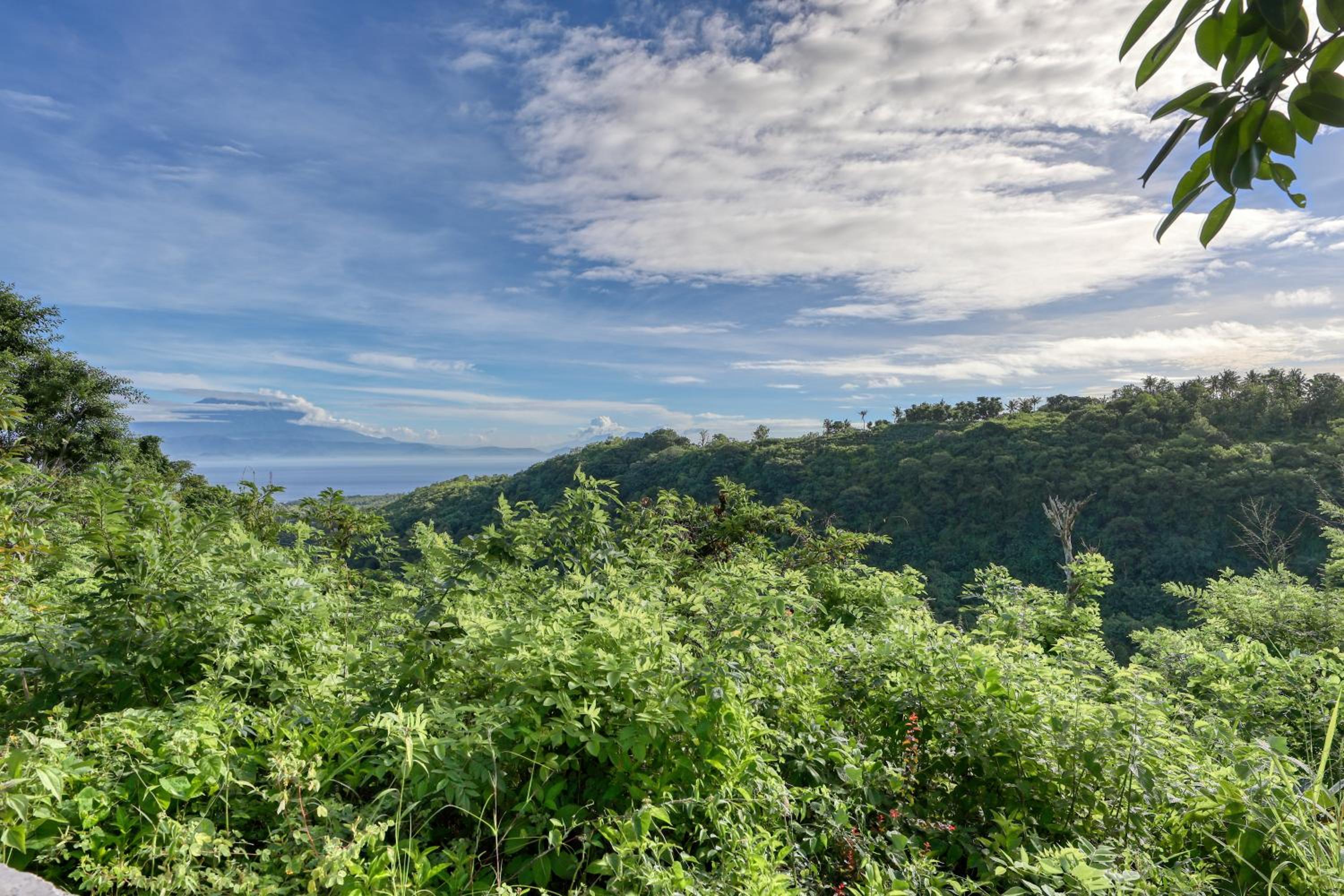 Ayu Hill Bungalows