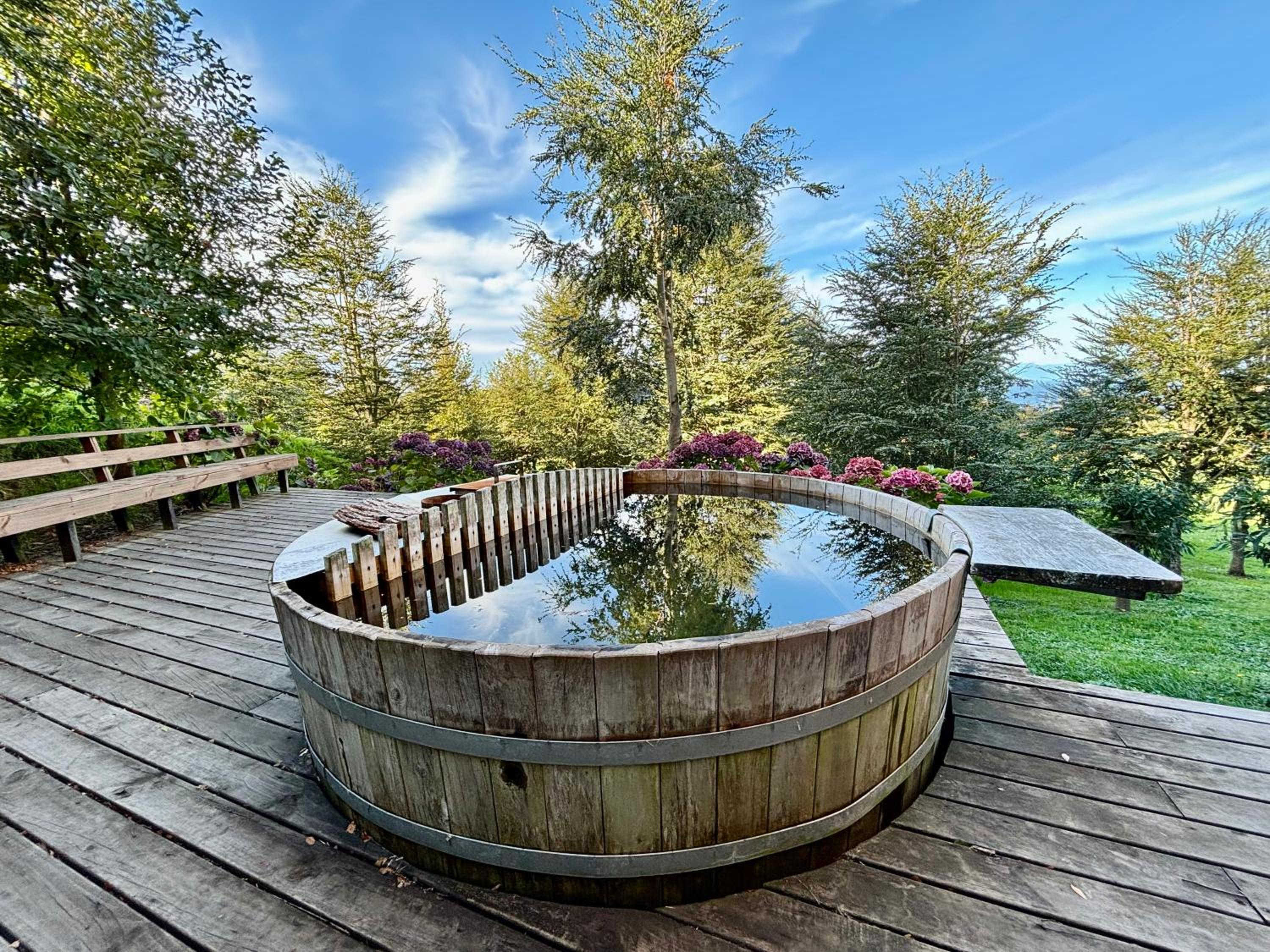 B&B Frutillar Lake & Volcano view