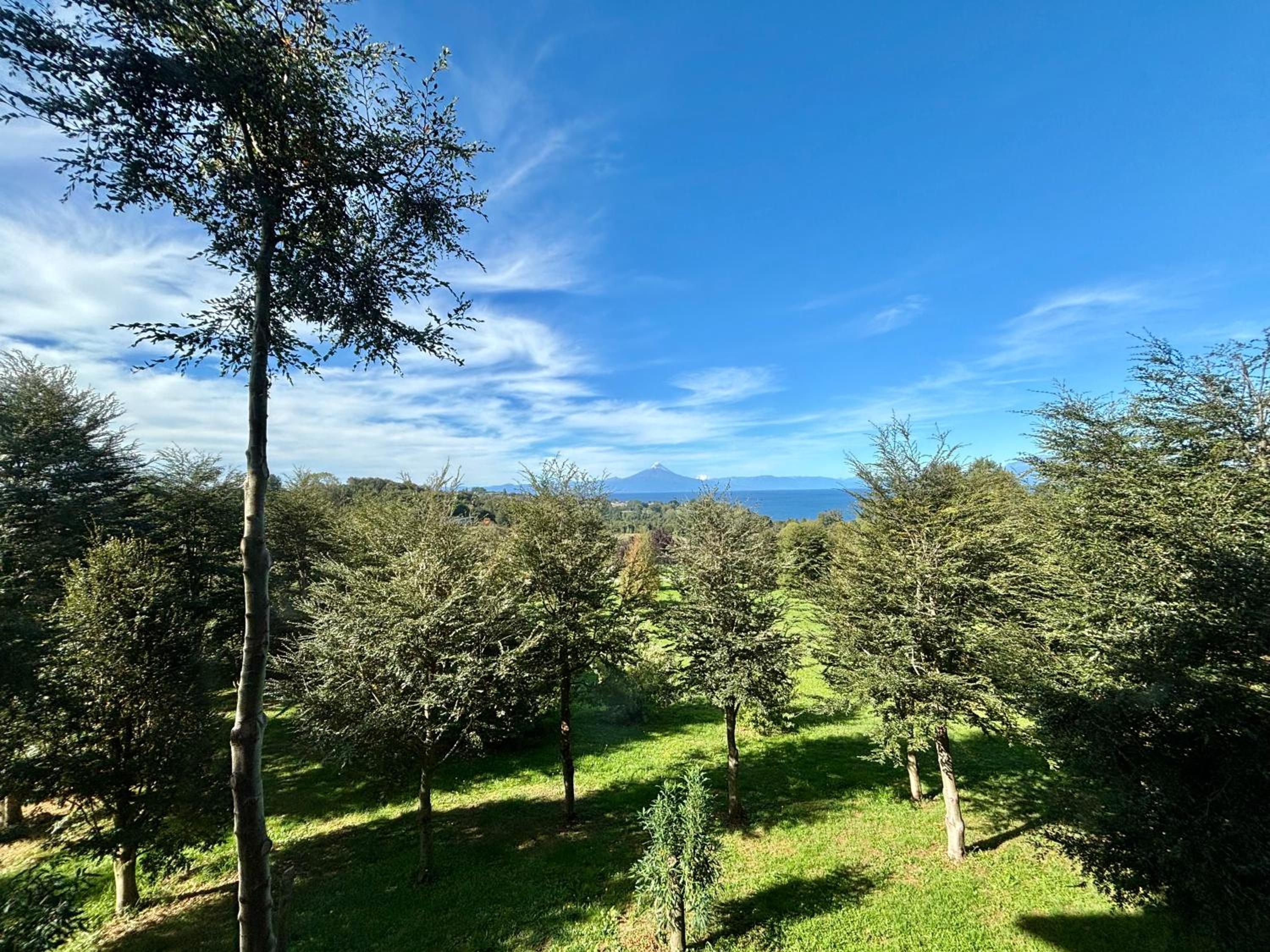 B&B Frutillar Lake & Volcano view
