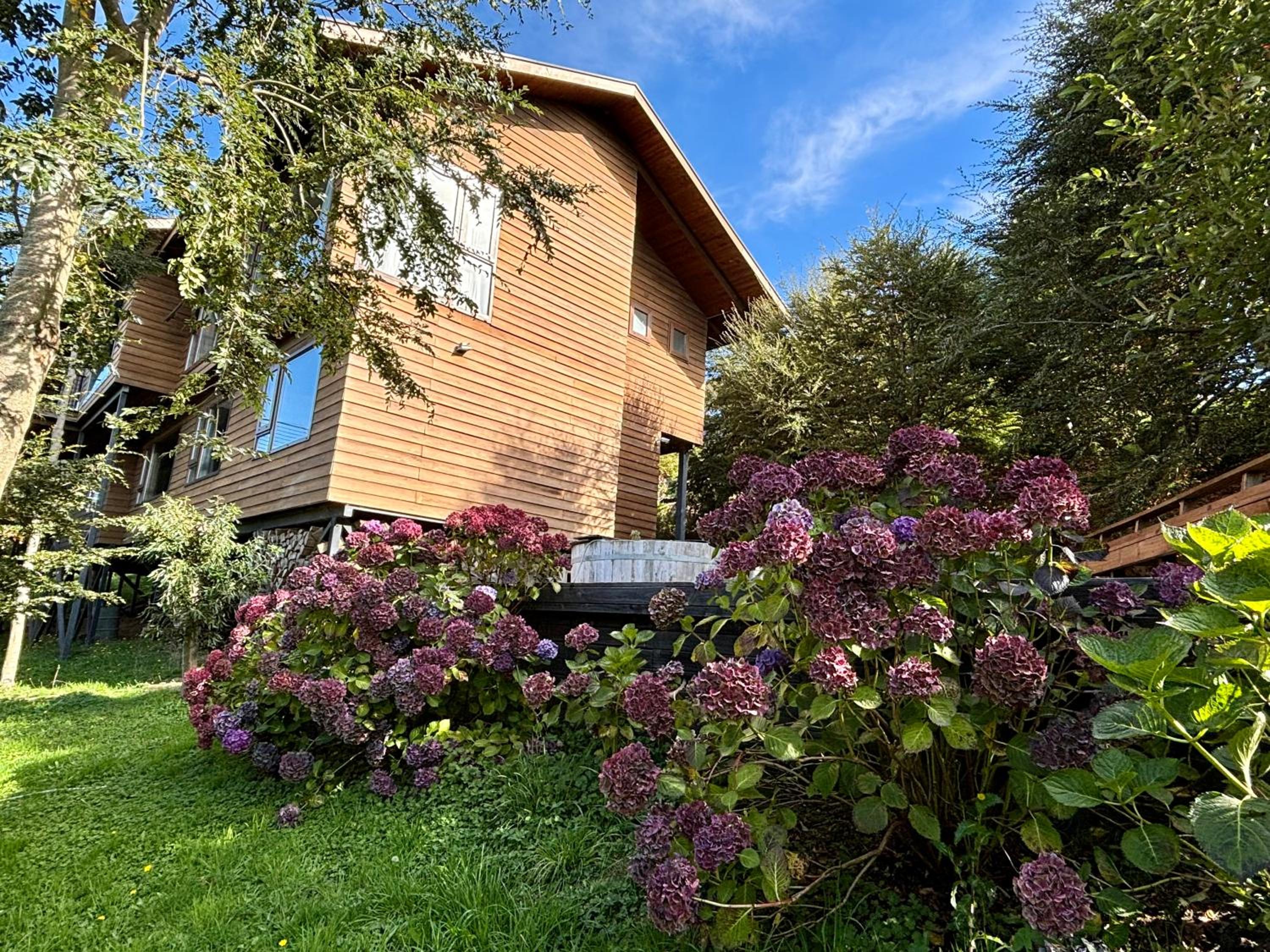B&B Frutillar Lake & Volcano view