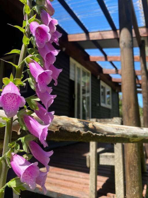 Cabaña en selva patagónica, cerca del pueblo