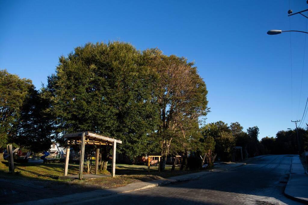 Cabaña en selva patagónica, cerca del pueblo