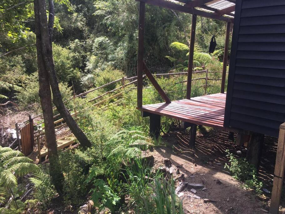 Cabaña en selva patagónica, cerca del pueblo