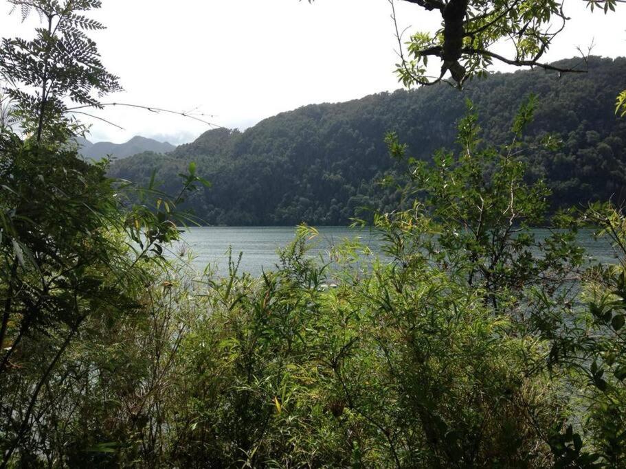 Cabaña en selva patagónica, cerca del pueblo