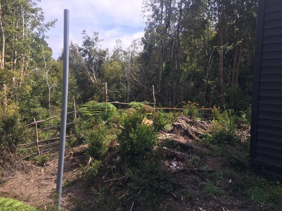 Cabaña en selva patagónica, cerca del pueblo