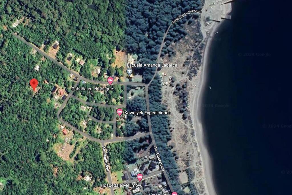 Cabaña en selva patagónica, cerca del pueblo