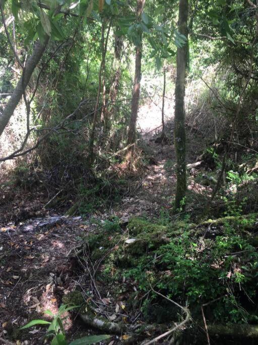 Cabaña en selva patagónica, cerca del pueblo