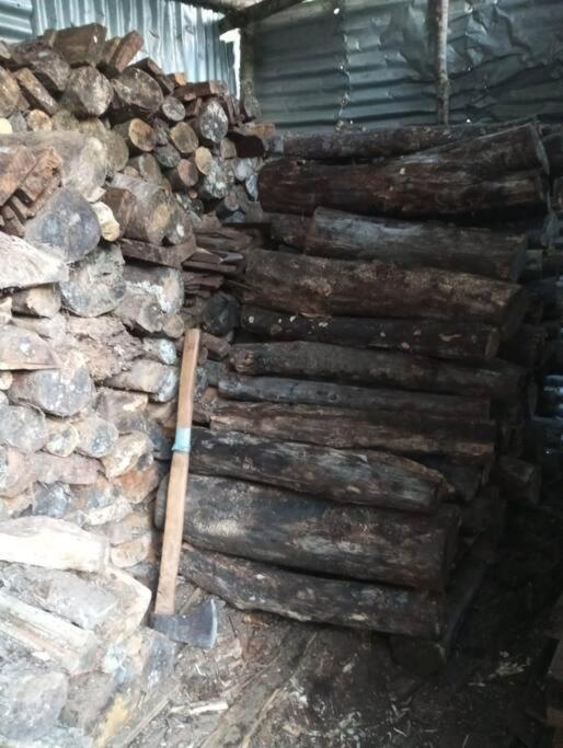 Cabaña en selva patagónica, cerca del pueblo