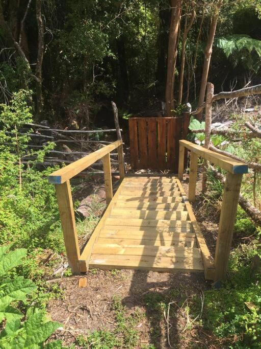 Cabaña en selva patagónica, cerca del pueblo