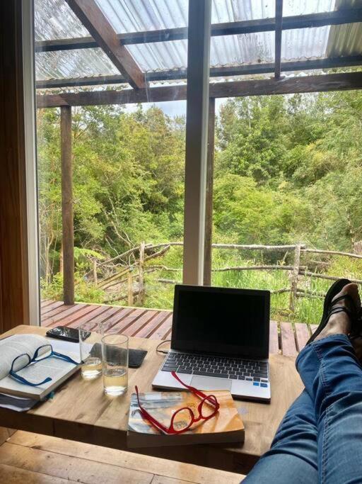 Cabaña en selva patagónica, cerca del pueblo