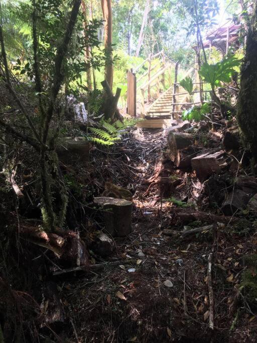 Cabaña en selva patagónica, cerca del pueblo