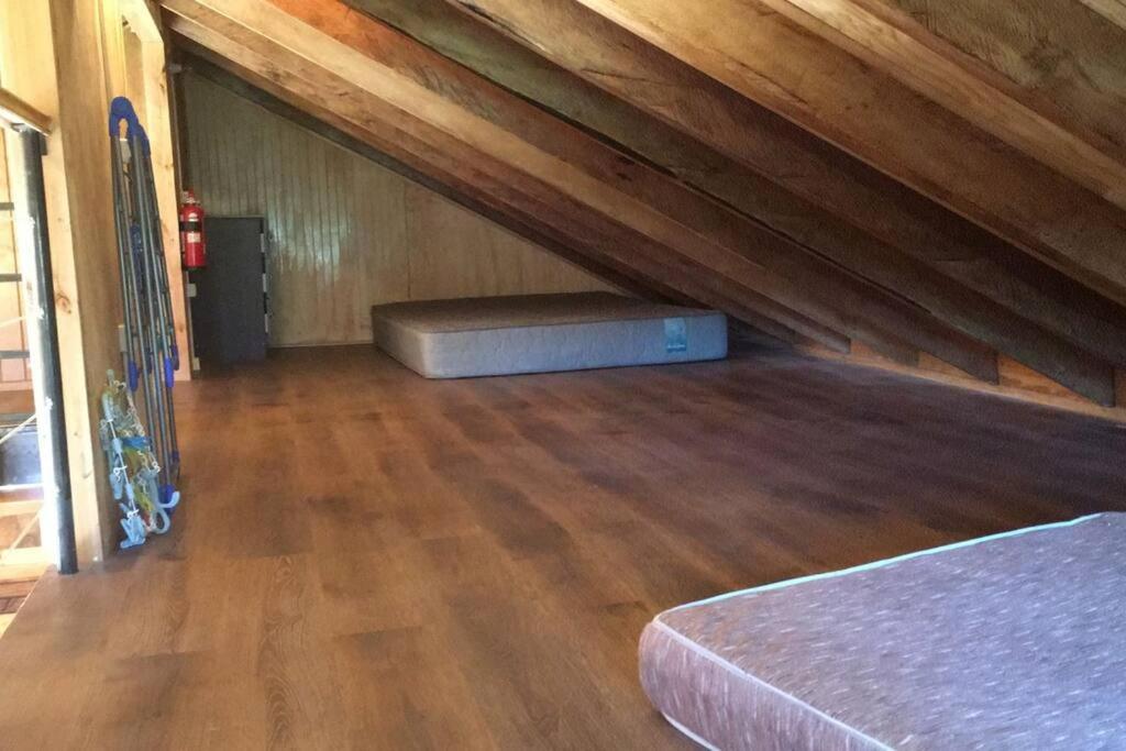 Cabaña en selva patagónica, cerca del pueblo