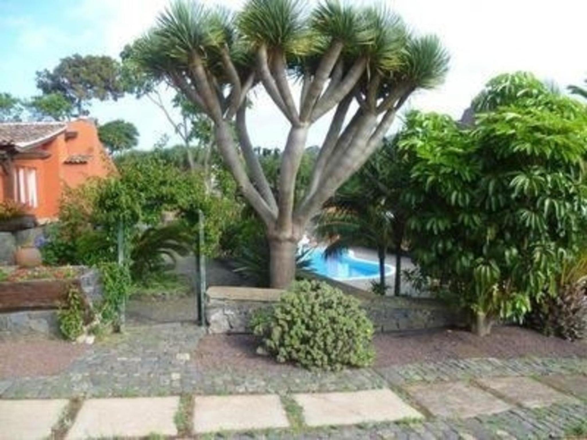 Ferienhaus in La Caridad mit Terrasse, Grill und Whirlpool