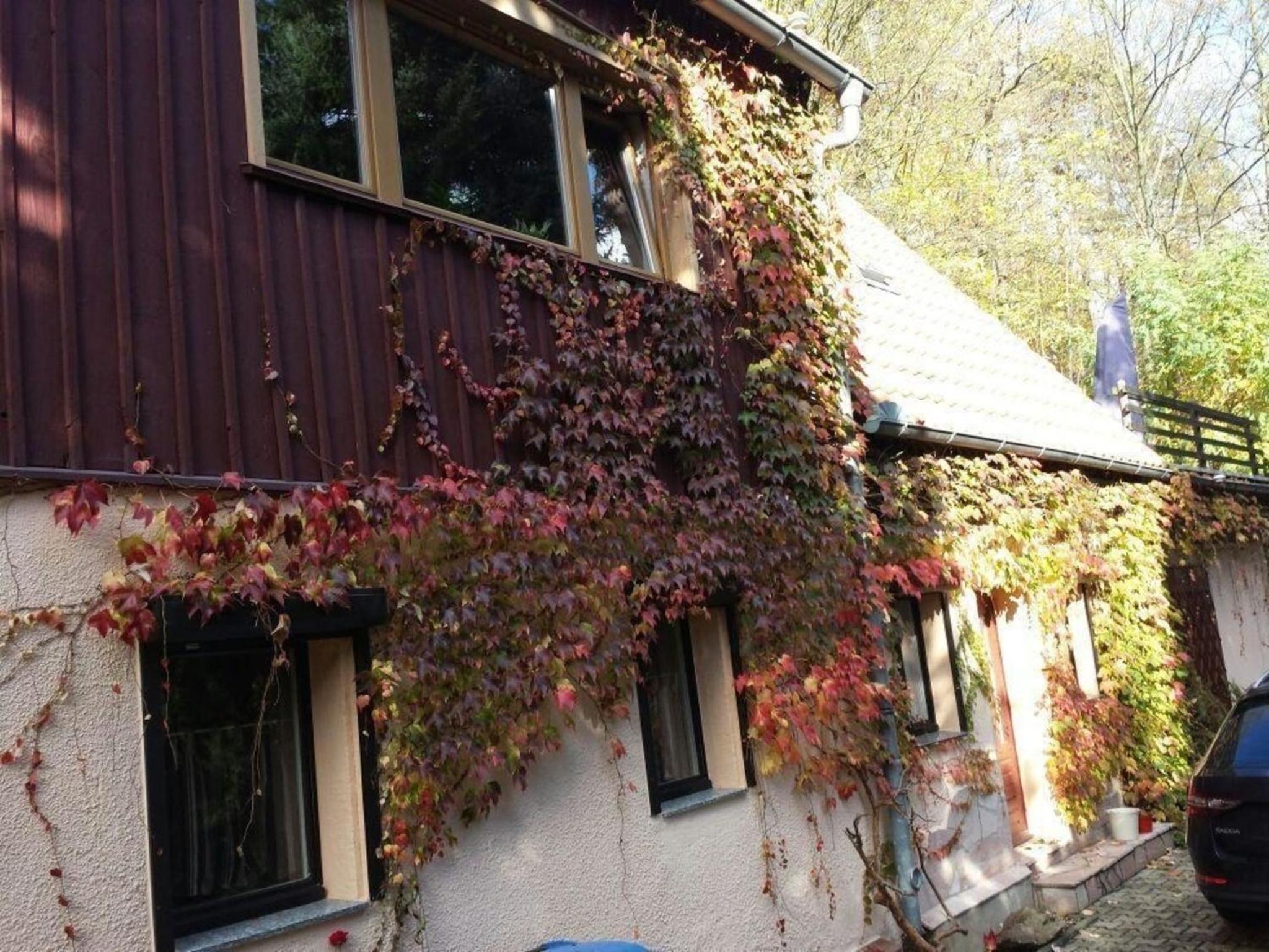 Bergnest