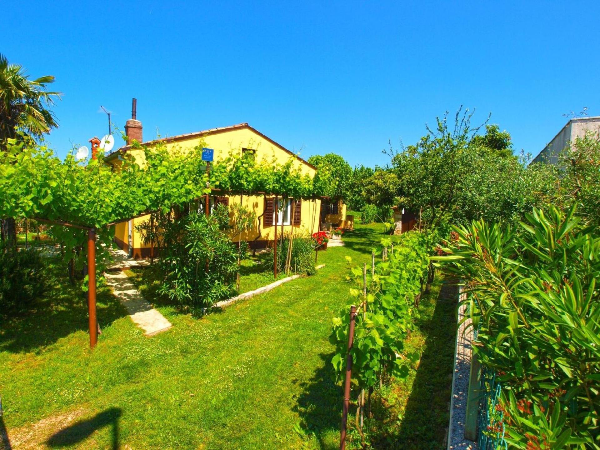 Ferienwohnung für 5 Personen ca 65 qm in Fažana, Istrien Istrische Riviera view 3