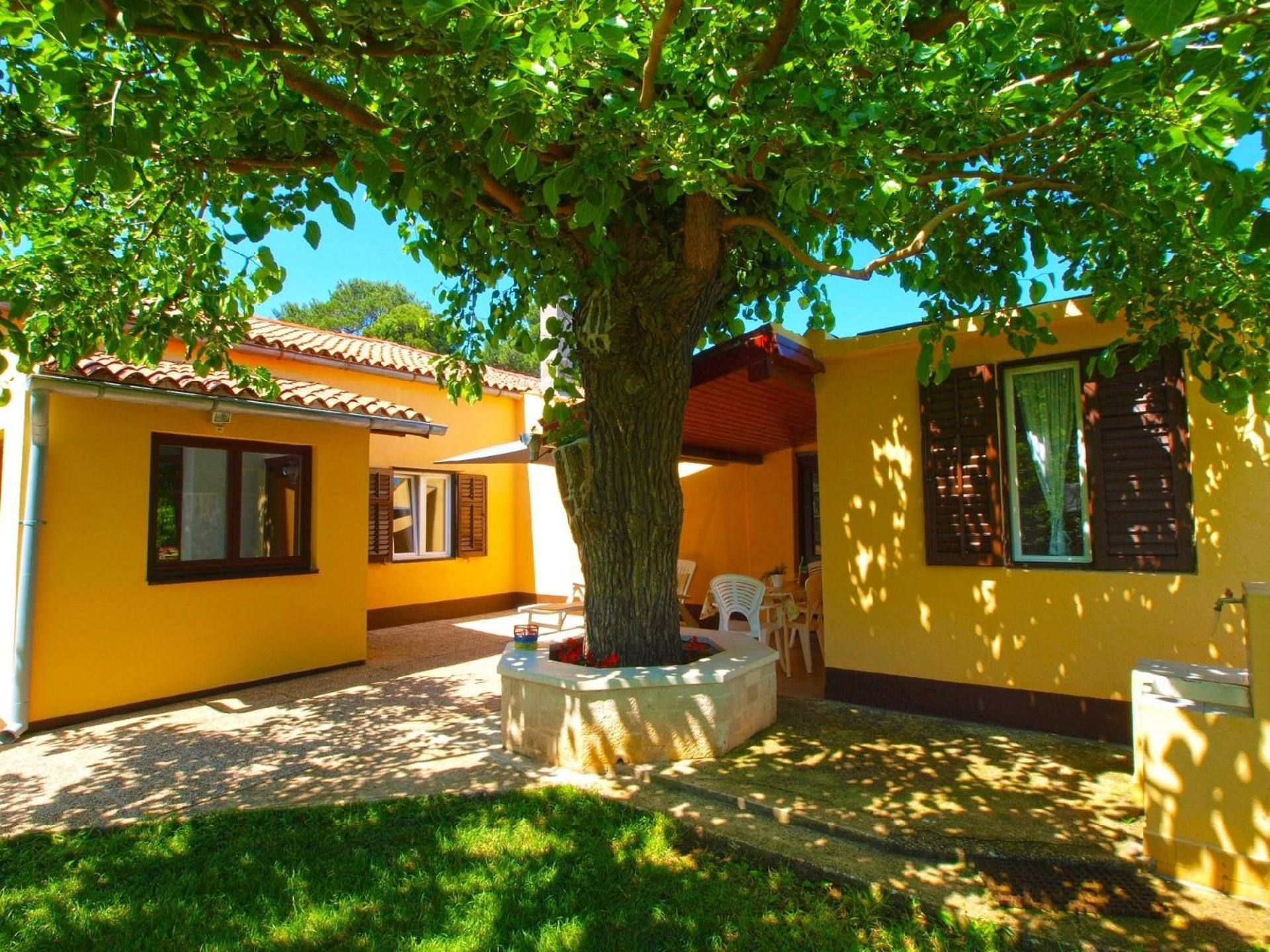Ferienwohnung für 5 Personen ca 65 qm in Fažana, Istrien Istrische Riviera view 4