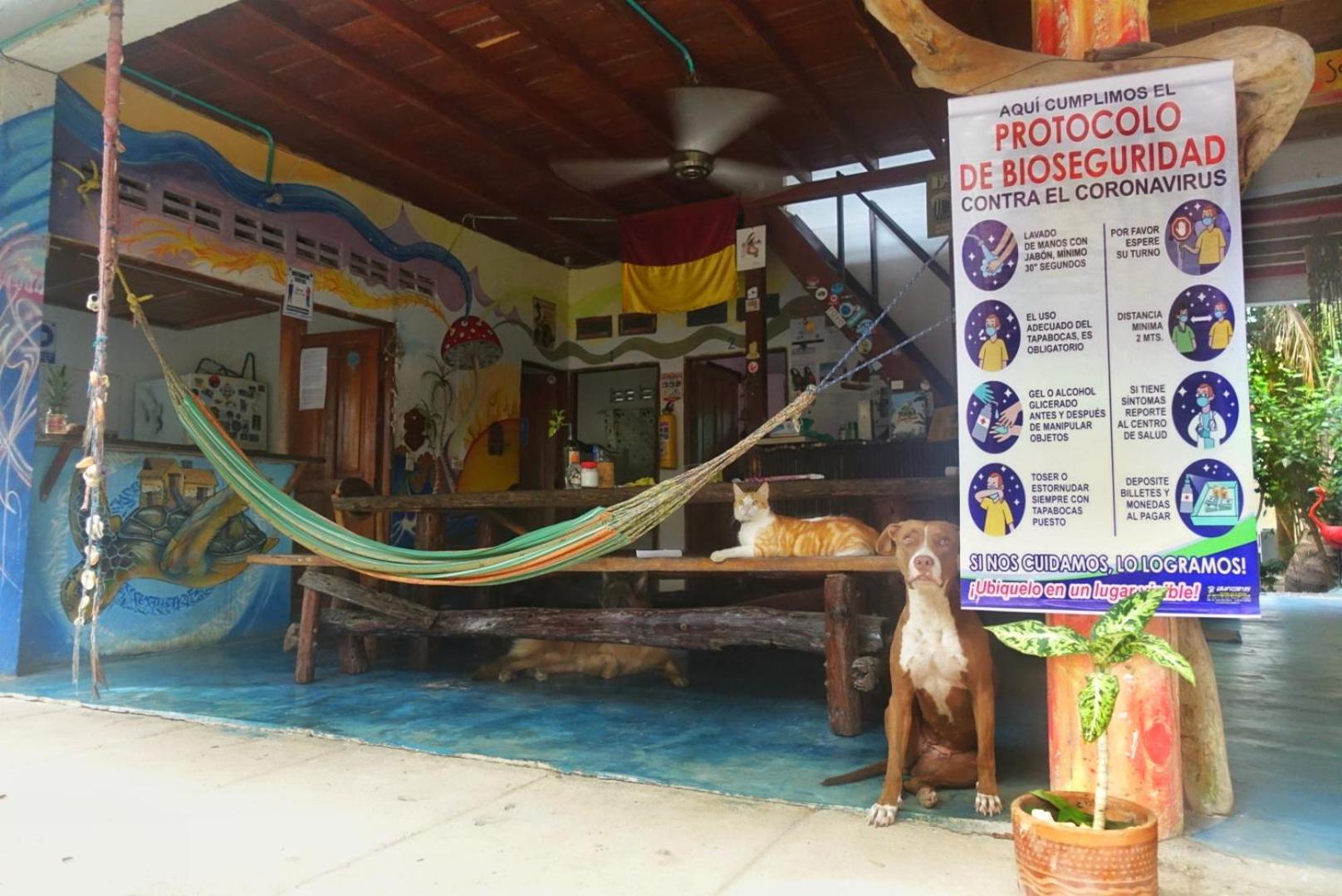 Casa Surf Mar Azul