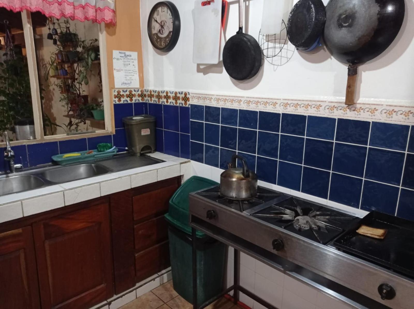 Hostel Casa Ridgway