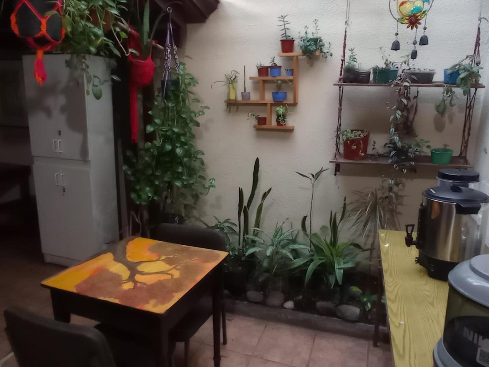 Hostel Casa Ridgway