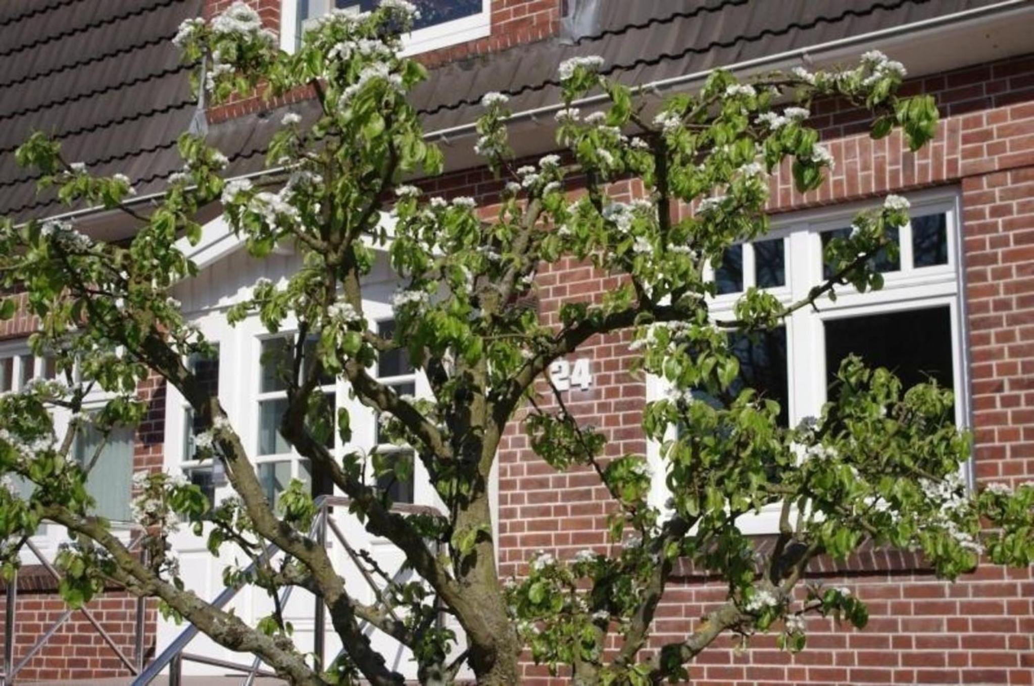 Gästehaus Kopp Wohnung Nr 02 in Cuxhaven-Duhnen