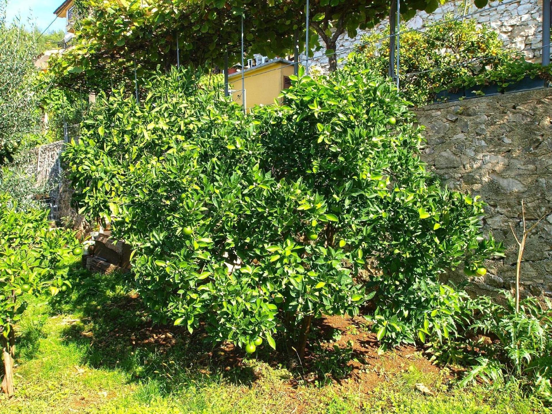 Ferienwohnung für 5 Personen ca 42 qm in Rabac, Istrien Bucht von Rabac view 5
