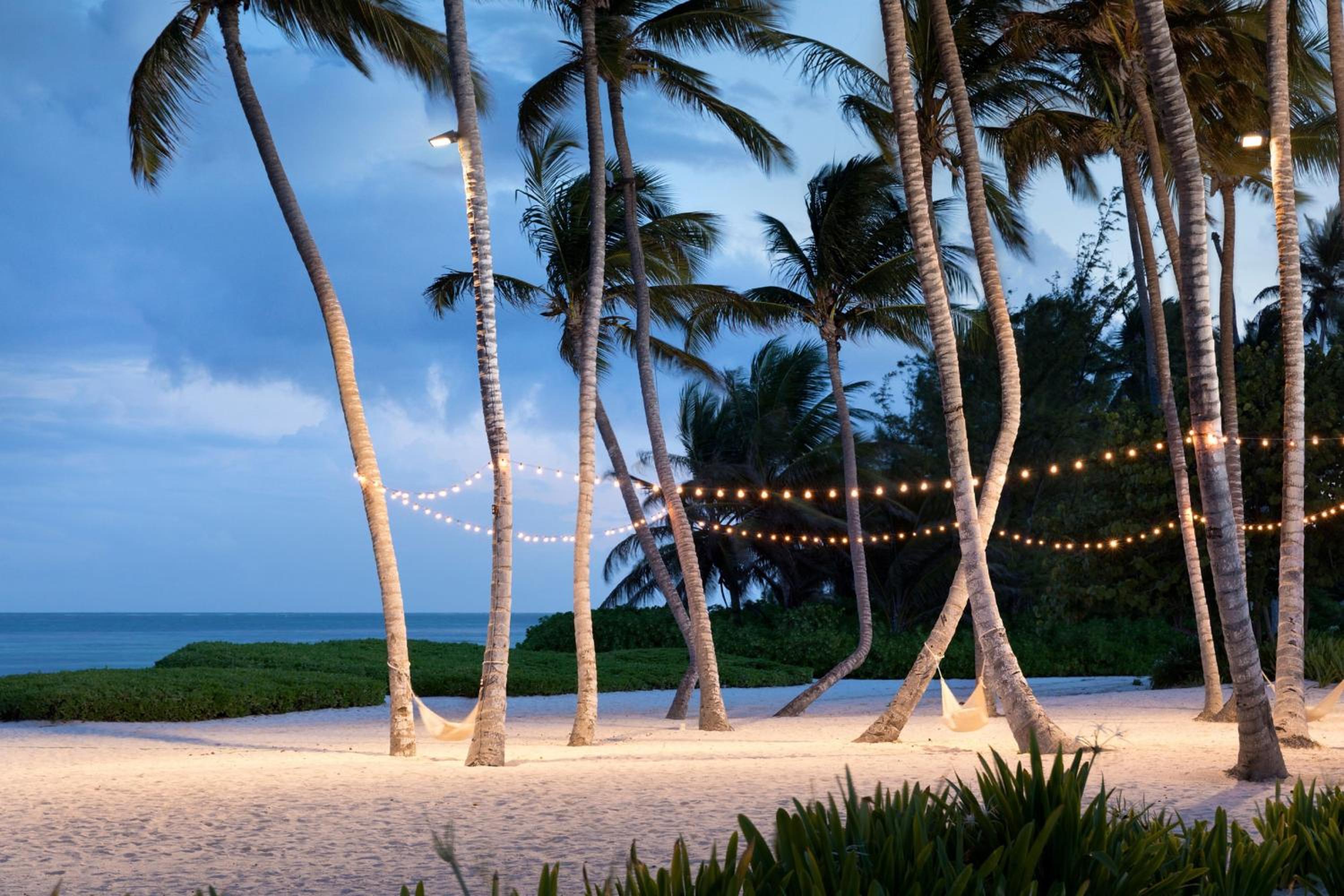 The Westin Puntacana Resort photo 93 of 146