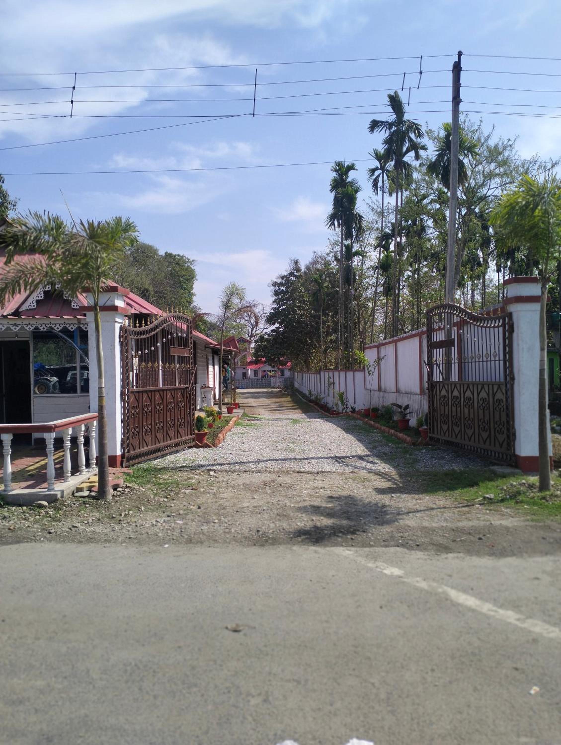 Photo 10
