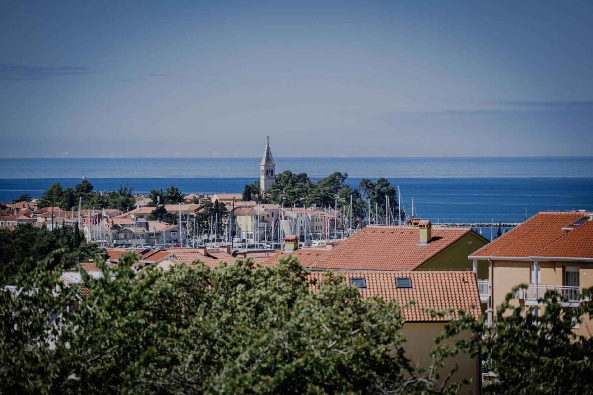 Haus In Novigrad Mit Privatem Pool view 4
