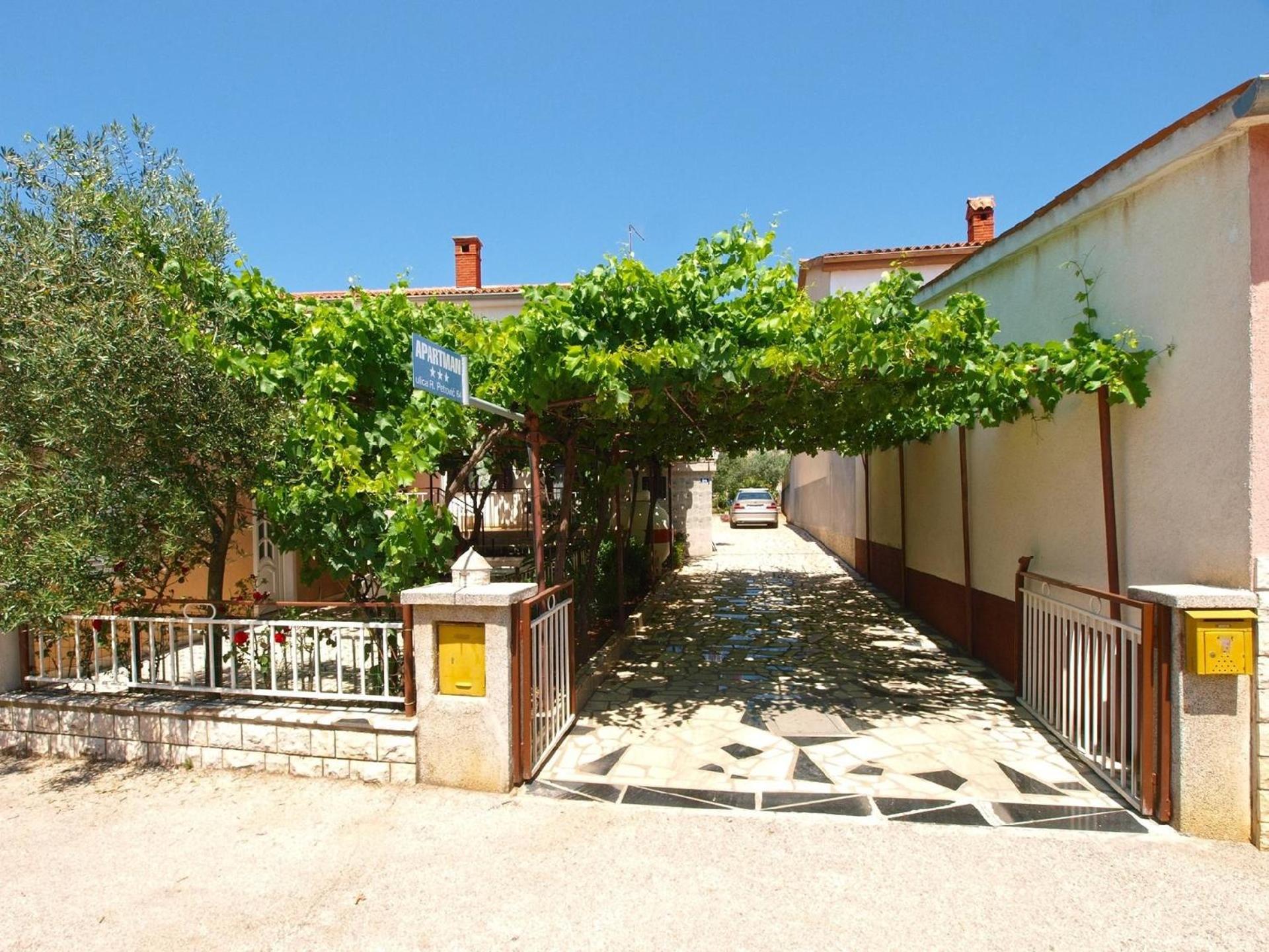 Photo 10
