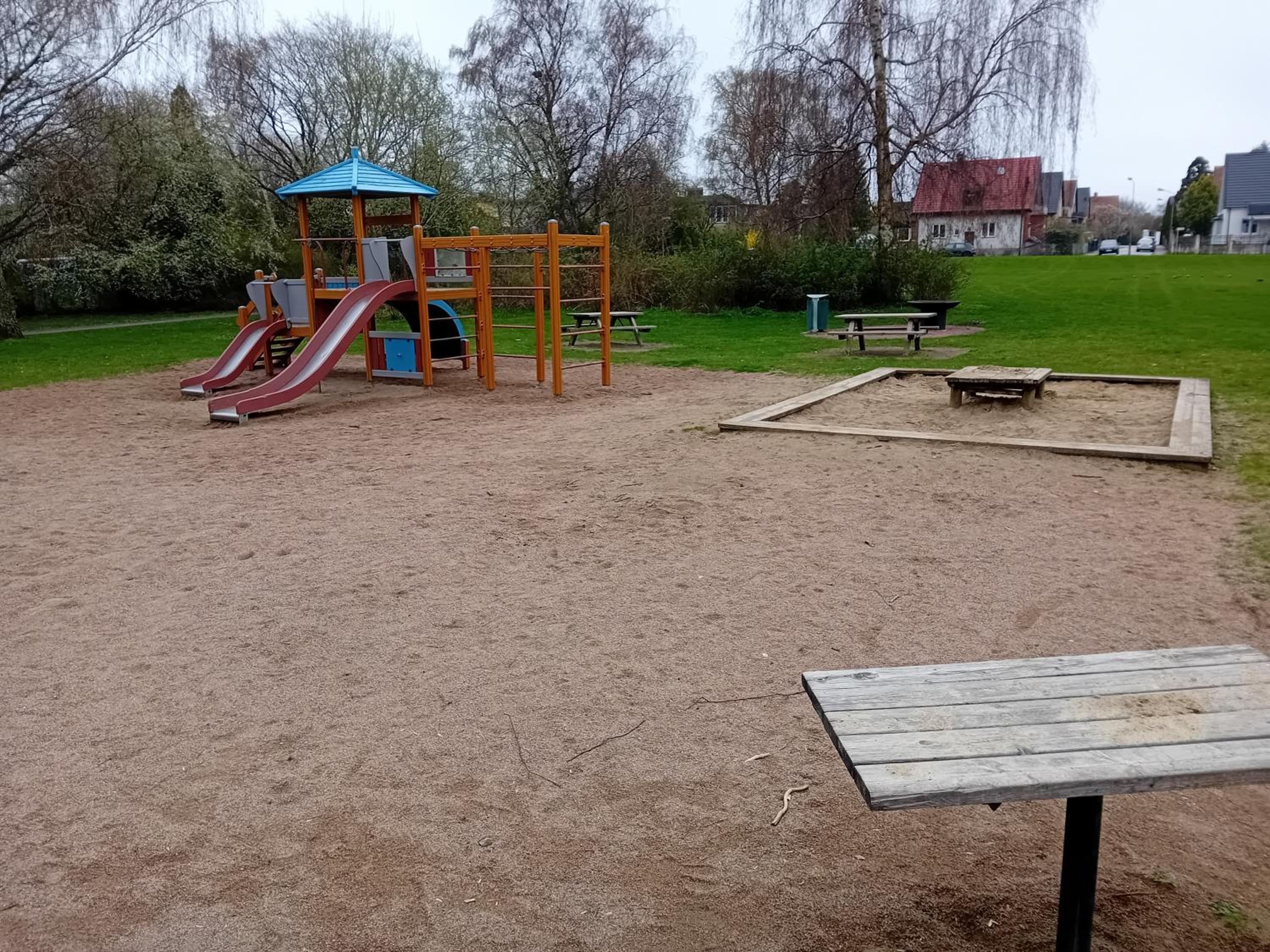 Photo 21