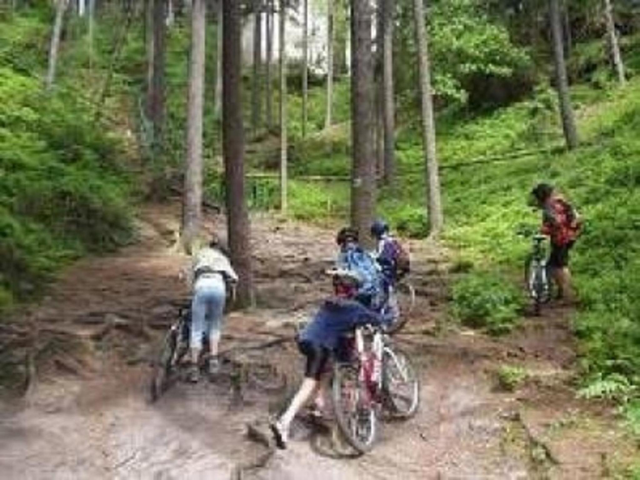 Ferienwohnung für 10 Personen ca 80 qm in Pernink, Böhmen Skizentrum Pernink