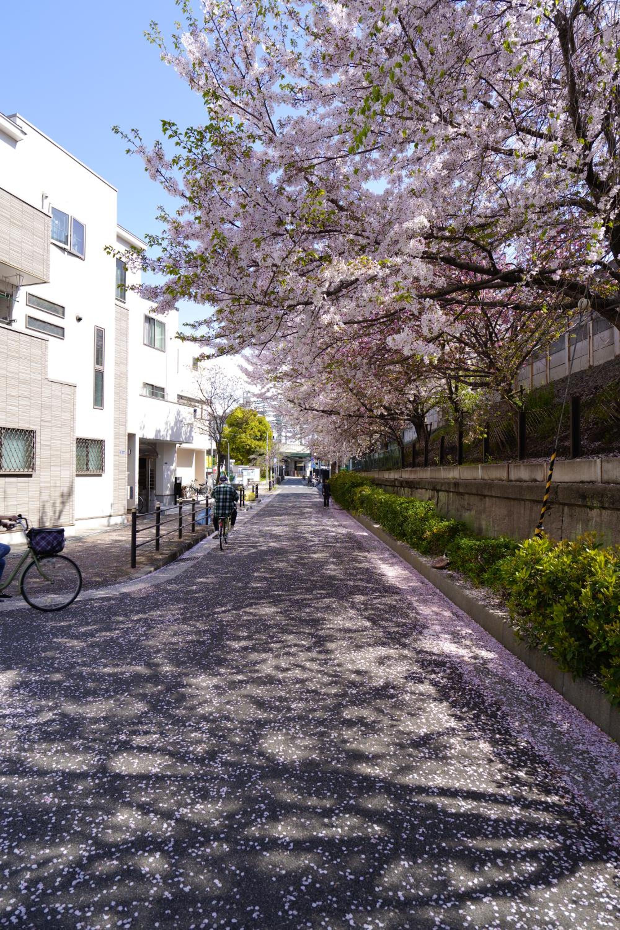 -旅タイム 岸里春日- 岸里駅 大型車駐車場あり