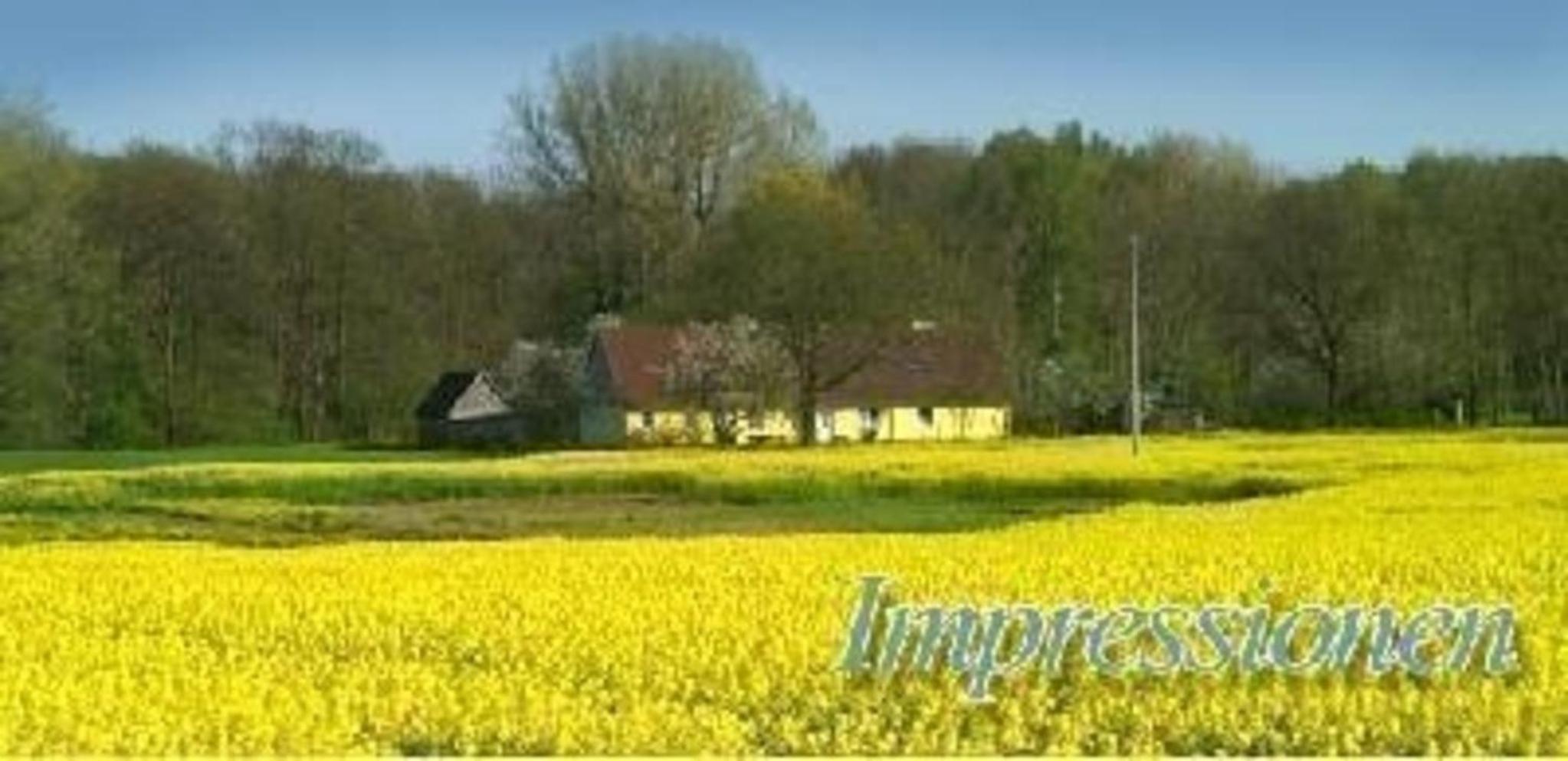 Ferienwohnung In Dassow